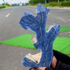 190G Natural Blue Coral Reef Cluster Marine Mineral Crystal Specimen