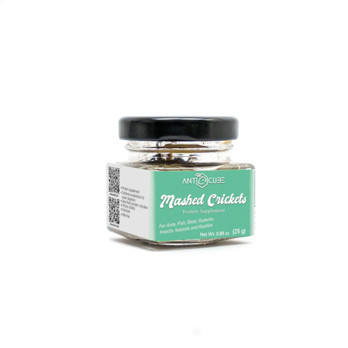 Ants mashed crickets - ants,