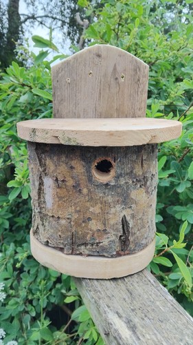 Nest box carved log with - -,