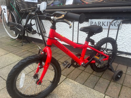 Ridgeback mx16 inch - mx16,