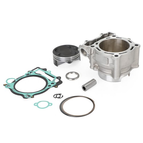 Cylinder piston rebuild kit - piston,