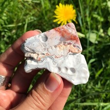Mexican Crazy Lace Agate Slab Slice Polished Crystal Collectors