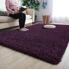 Thick Large Shaggy Rugs Non