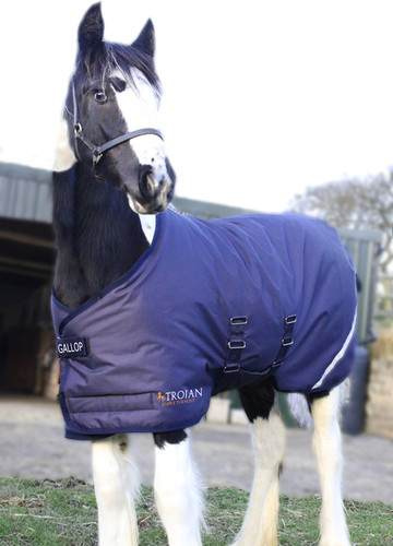 Foal rug gallop - gallop, 200g