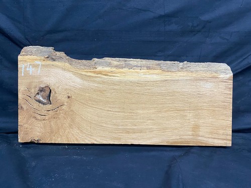 Oak hardwood timber - hardwood, timber,