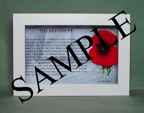The red poppy framed - the,