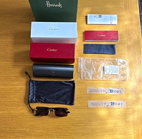 Cartier ct0579s rimless - cartier,