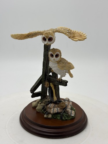 Pair baby barn owls - of,
