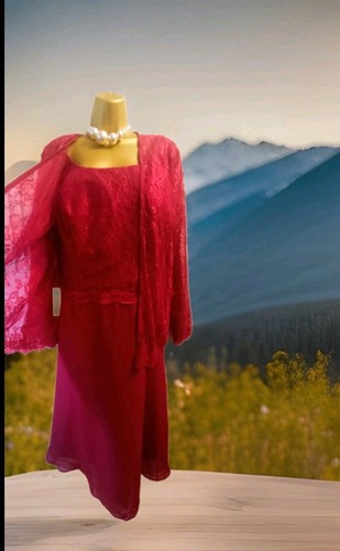 Lanting size dark red dress - 20,