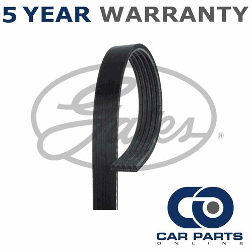 Gates ribbed belts fits - v-ribbed,