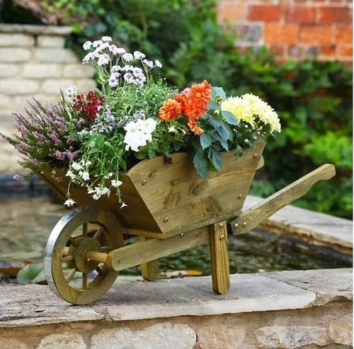 Wheelbarrow planter wooden - planter,