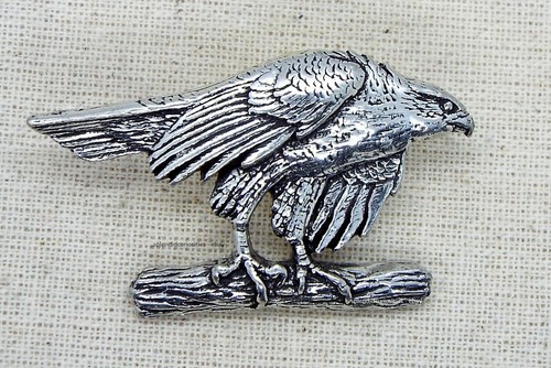 Goshawk bird branch pin - bird,