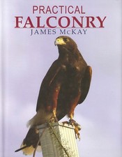 McKAY JAMES HAWKING & RAPTORS BOOK PRACTICAL FALCONRY HARRIS HAWKS hrdbk BARGAIN