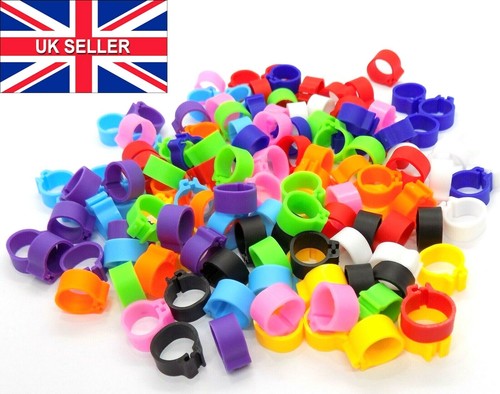 10mm reusable birds rings - birds,