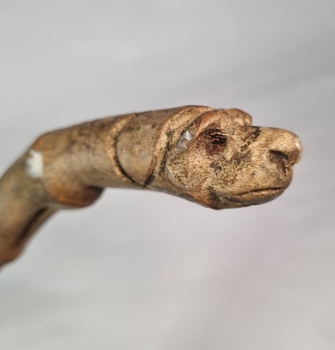 Antique semi flexible - semi-flexible, whangee