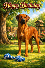 Rhodesian Ridgeback Birthday