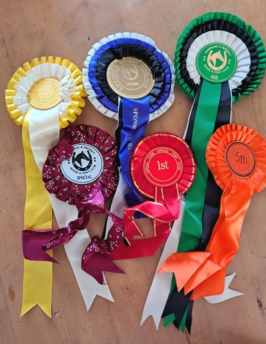 Vintage horse riding trophies - vintage,