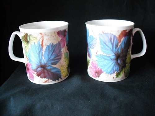 Pair rose england fine - pair, of
