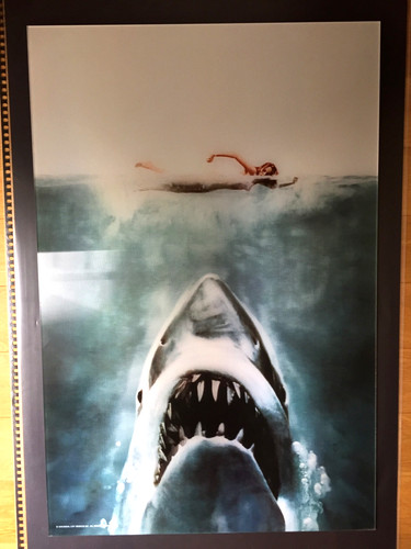 Roger kastel jaws the - kastel,, jaws,