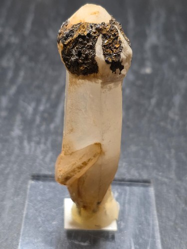 Scepter quartz crystal with - quartz,