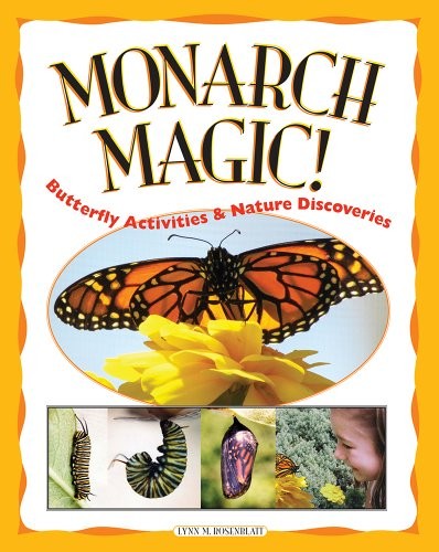 Monarch magic butterfly - monarch, magic!