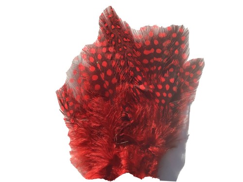 Guinea fowl dyed feathers 2 - fowl, ,2