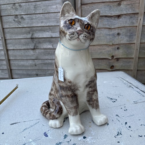 Large winstanley tabby - large, cat