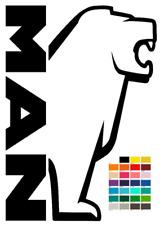 Man X2 WINDOW VINYL STICKER HAULAGE CUSTOMISE TRUCKING 30 x 21cm