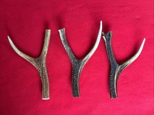 3 PIECES OF SIKA DEER ANTLERS,Y SHAPED FOR SLINGSHOTS, WALKING STICKS ARTS (114)