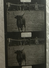 9.5mm Baby Film - 'The Chase