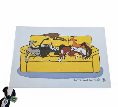Brand new greyhound - new, whippet