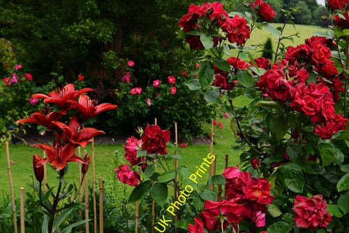 Photo pashley manor - photo, a1