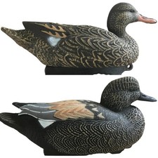Gadwall Duck Decoys Floating