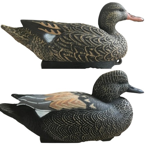 Gadwall duck decoys floating - gadwall,