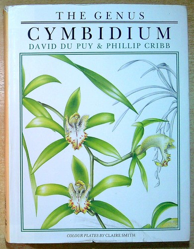 Puy david cribb phillip - david,