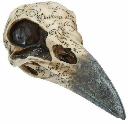 Edgars raven skull - edgars,