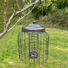Squirrel Proof Hanging Bird
