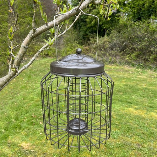Squirrel proof hanging - proof,