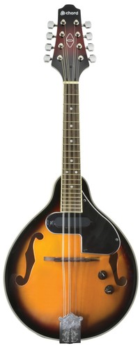 Electric mandolin - electric,