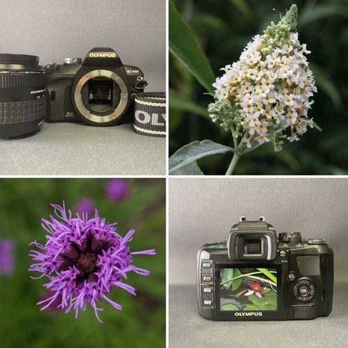 Olympus 410 dslr camera - olympus, e-410