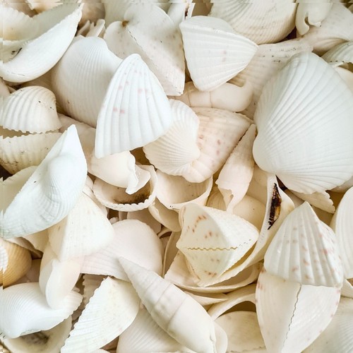 1kg white beach mixed - white,