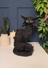 ​Salem the Black Cat