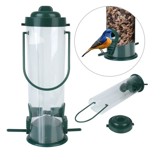 Squirrel proof wild bird - squirrel,