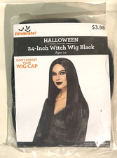 Way To Celebrate 24" Straight Goth Wig Adult Long Black Witch Cher Morticia