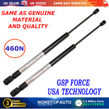 2X REAR TAILGATE GAS STRUTS