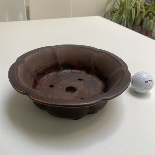 Bonsai pot 2cm - pot, diameter