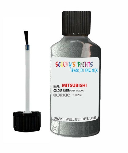 Paint for mitsubishi grey - paint,