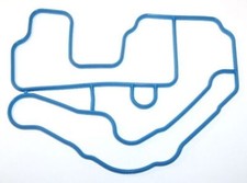 Thermostat Gasket (On Head)