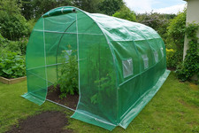 6m x 3m heavy duty polytunnel greenhouse steel frame grow tunnel allotment