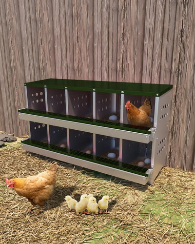 Nesting boxes for chicken - nesting,